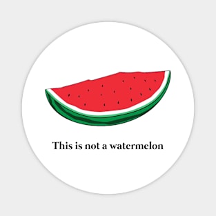 Funny This Is Not A Watermelon - Palestine Flag Magnet